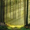 black forest