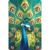 dixit 7 revelations 6