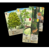 smiseny les