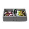 king of tokyo insert 2