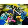 papillon 6