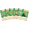 dale of merchants 5