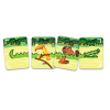 safari safari croco