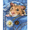malovani podle cisel krecek mucki 24 x 30cm 4