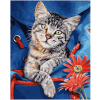 malovani podle cisel kocka v batohu katze 24 x 30cm 4
