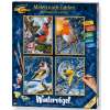 malovani podle cisel zimni ptacci wintervogel 4 platna 18 x 24 cm 4