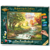 malovani podle cisel pstruhovy potok am forellenbach 40 x 50 cm 5