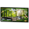 malovani podle cisel u potoka am wildbach polyptych 4