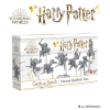 harry potter catch the snitch national quidditch team