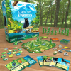 canopy evergreen 3