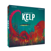 kelp shark vs octopus