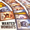 wanted wombats 3