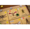insectarium 2