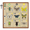 insectarium 3