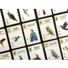 wingspan americas expansion 5