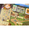 viticulture bordeaux 3