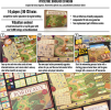 viticulture bordeaux 4