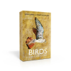 the game of birds