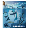 kouzelne cteni tajemstvi mori a oceanu 3