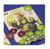 dragon eclipse akademie mystlingu 6