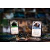 talisman harry potter 4