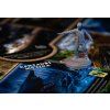 talisman harry potter 6
