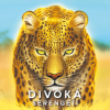 divoka serengeti