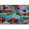 Small World: 6 Player Board