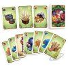 Five Tribes