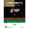 labyrinth the awakening 2010