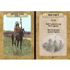 plains indian wars 2