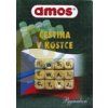 AMOS - čeština v kostce
