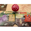 undergrove 4