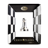 hanayama chess puzzle pawn 2