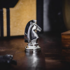 hanayama chess puzzle knight 3