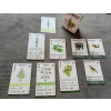 reforest plants of the pacific northwest coast 2