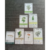 reforest plants of the pacific northwest coast 3