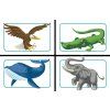 concept kids animals 3