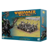 warhammer the old world orc and goblin tribes black orc mob 2