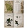 warhammer the old world arcane journal wood elf realms sesit 2
