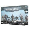 space wolves wolf guard headtakers