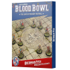 blood bowl bretonnian pitch hriste