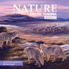 nature arctic tundra