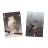 songbirds 2