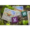 the vale of eternity artifacts rozsireni 2