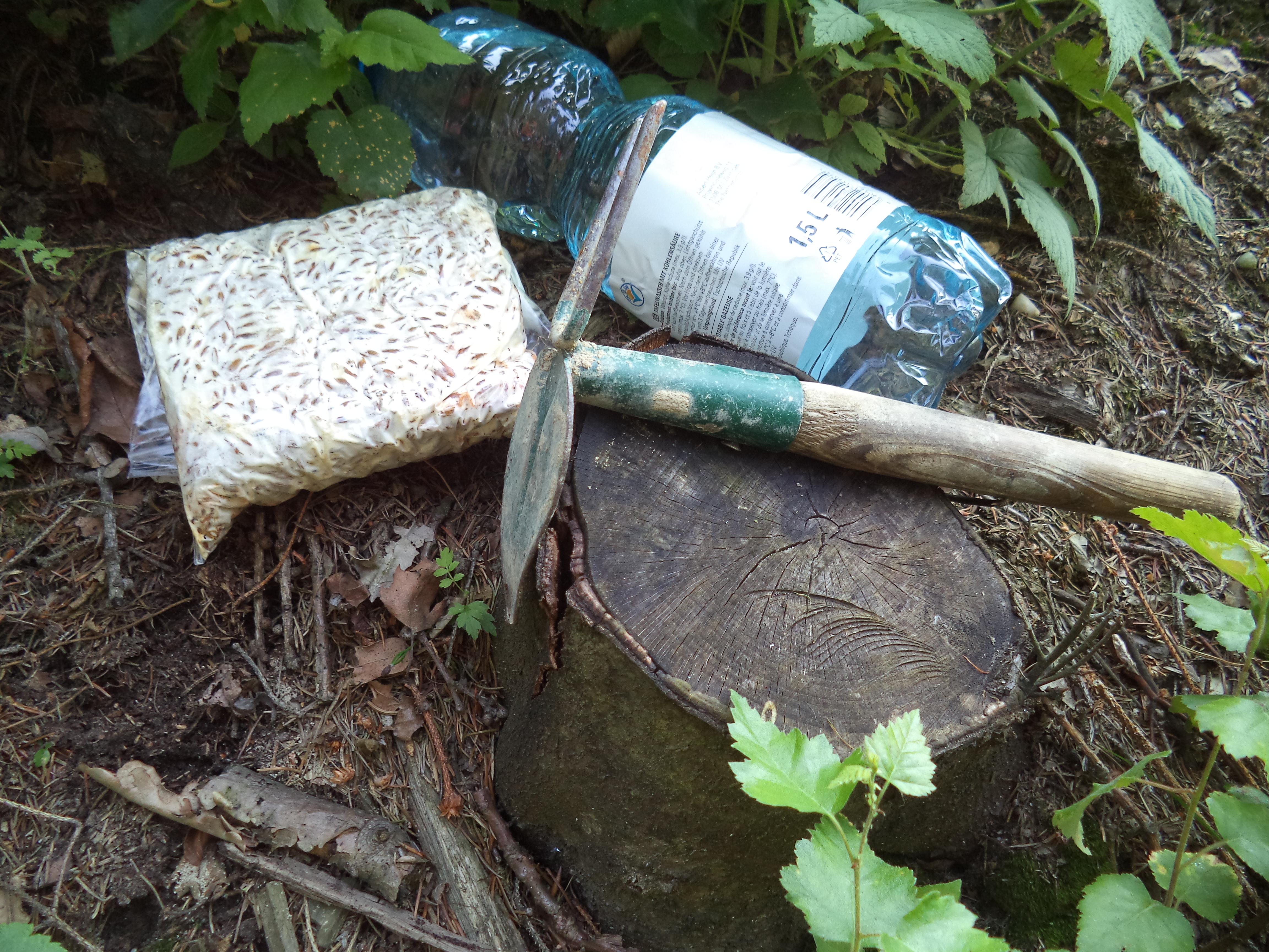 ► MODERNÍ PĚSTOVÁNÍ HLÍVY NA LISTNATÝCH PAŘEZECH PŘÍMO V TERÉNU