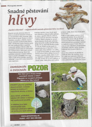 Šavelkovo spodní očkování hlívy - jednoduché, rychlé a účinné