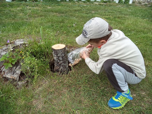 ► MODERNÍ SPODNÍ OČKOVÁNÍ DŘEVA HLÍVOU, VHODNÉ I NA OSLUNĚNÁ STANOVIŠTĚ