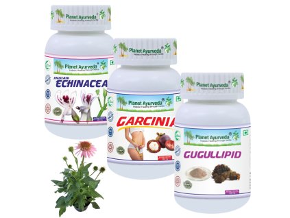 Planet ayurveda chudnutie