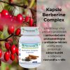 1080 Berberine Complex
